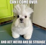 16291B2A-2FA1-4465-88E5-B5AFB675BA19.jpeg 16291B2A-2FA1-4465-88E5-B5AFB675BA19.jpeg