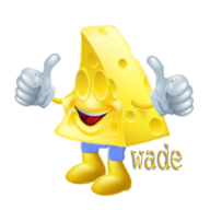 wade