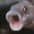 bruh fish